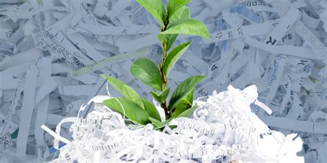 commercial document shredding leicester|Secure Paper Shredding Services in Leicester .